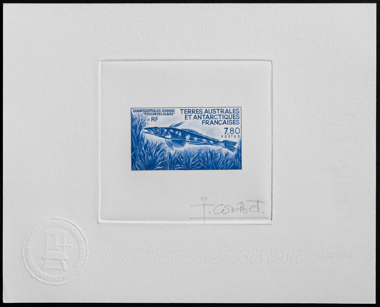 French Antarctic Champrocephalus Gunnari Stamp Artist's Proof