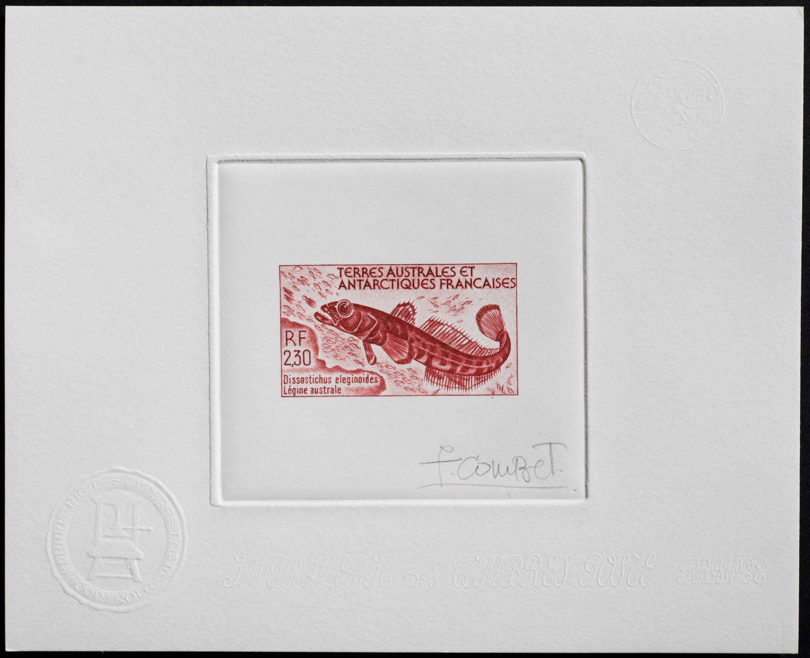 French Antarctic Dissostichus Eleginoides Stamp Artist's Proof